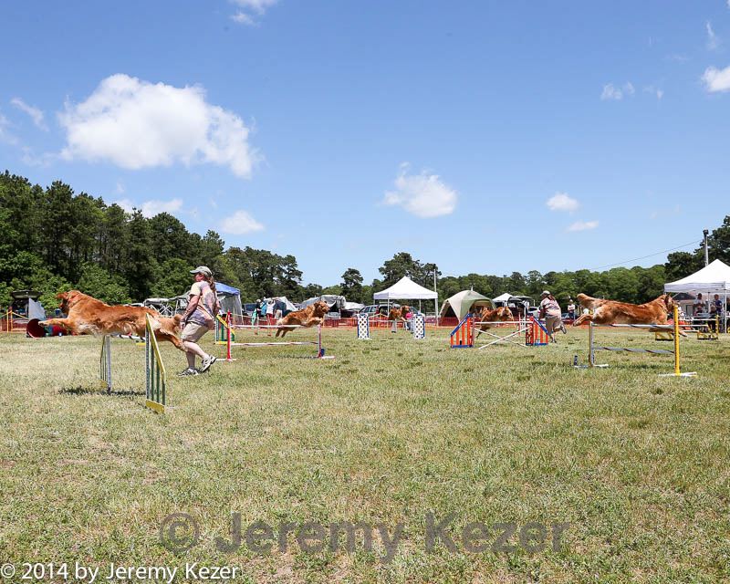 20140615-comp-0074.jpg