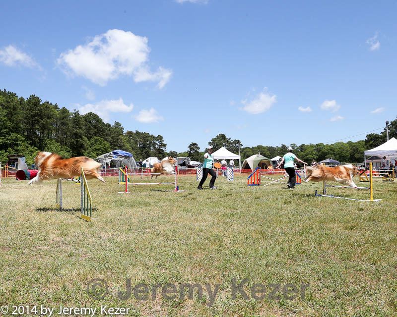 20140615-comp-0075.jpg
