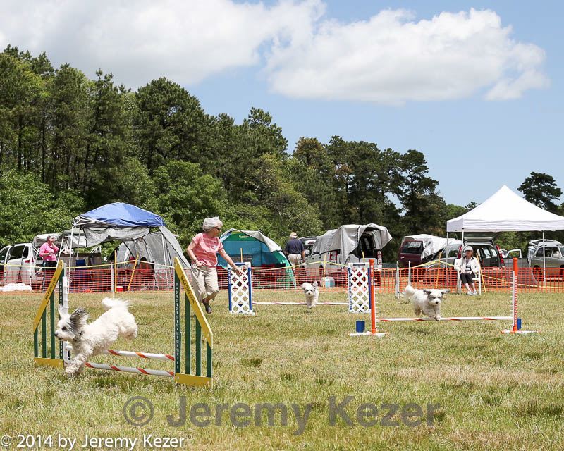 20140615-comp-0067.jpg