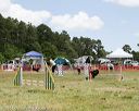 20140615-comp-0066