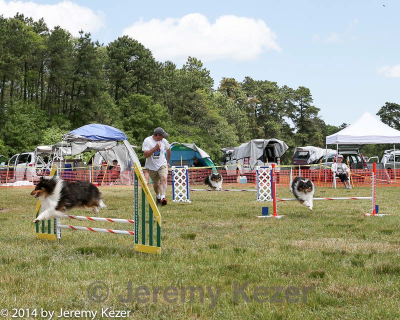 20140615-comp-0065.jpg