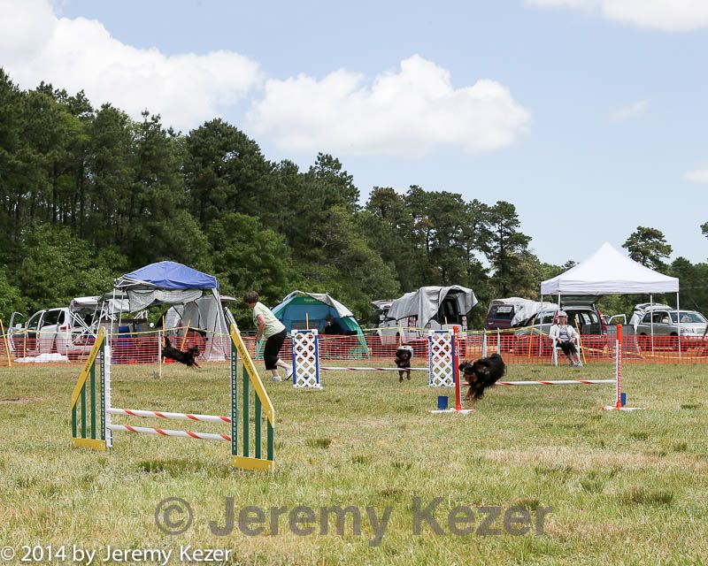 20140615-comp-0066.jpg