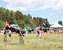 20140615-comp-0070