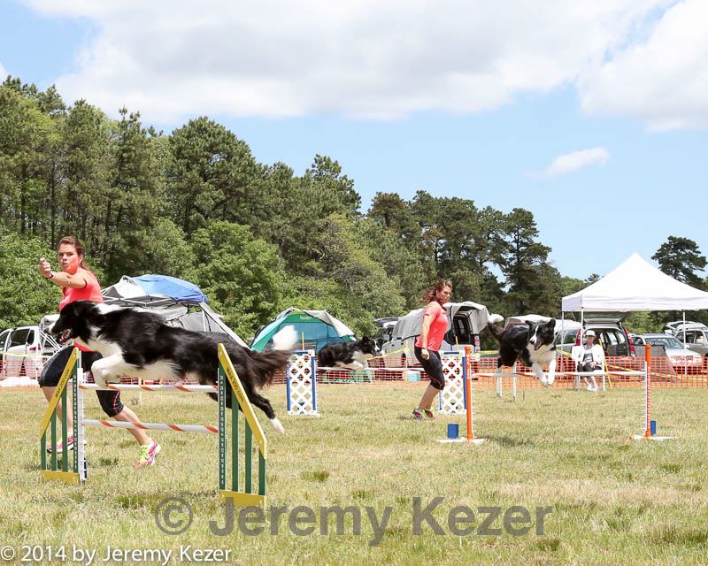 20140615-comp-0070.jpg