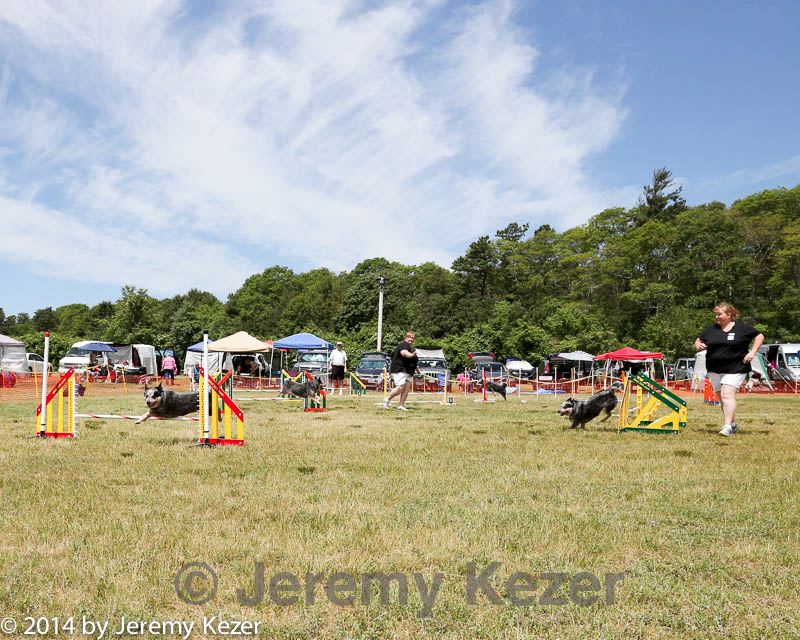 20140615-comp-0049.jpg