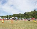 20140615-comp-0030