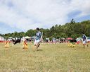 20140615-comp-0032