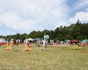 20140615-comp-0037