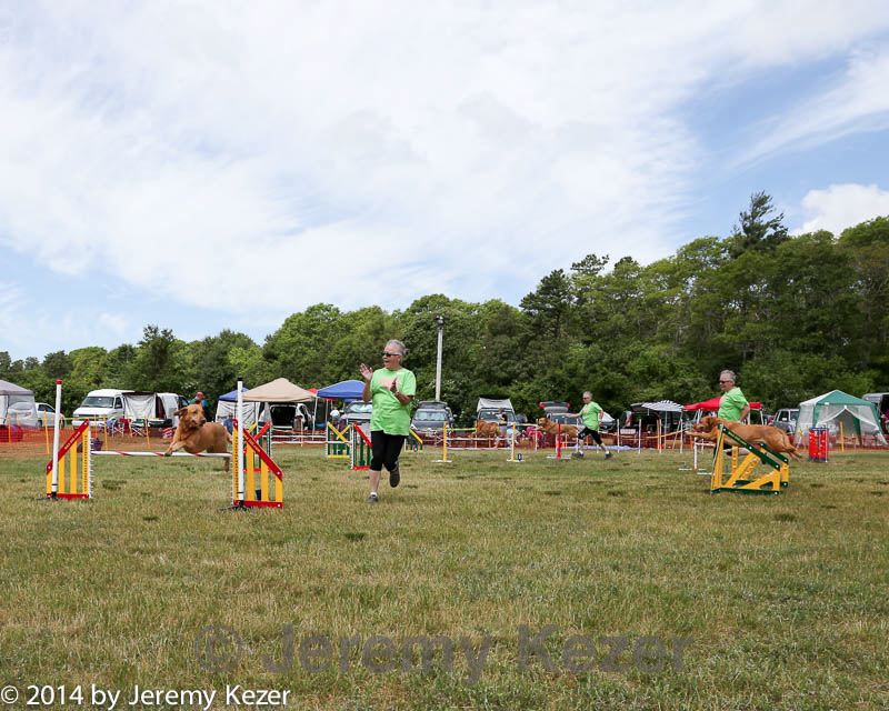 20140615-comp-0034.jpg