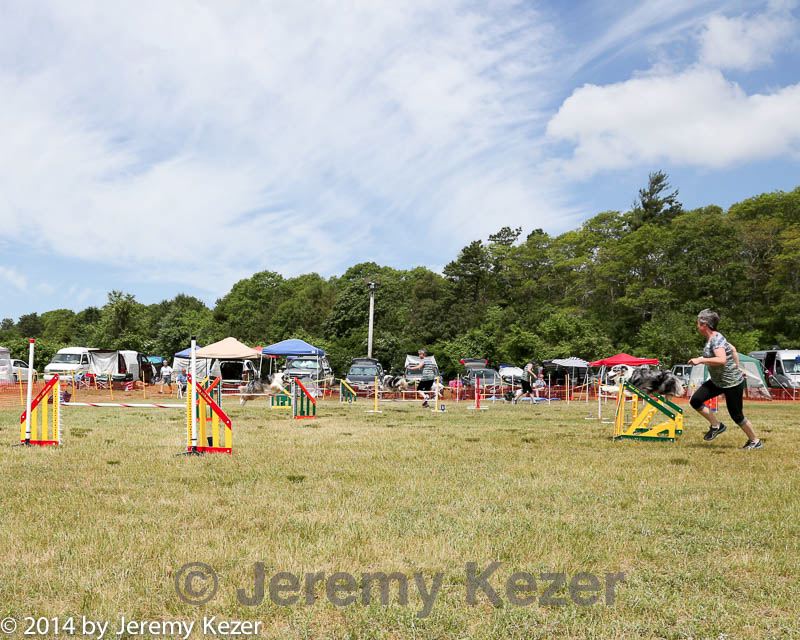 20140615-comp-0038.jpg