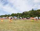 20140615-comp-0029
