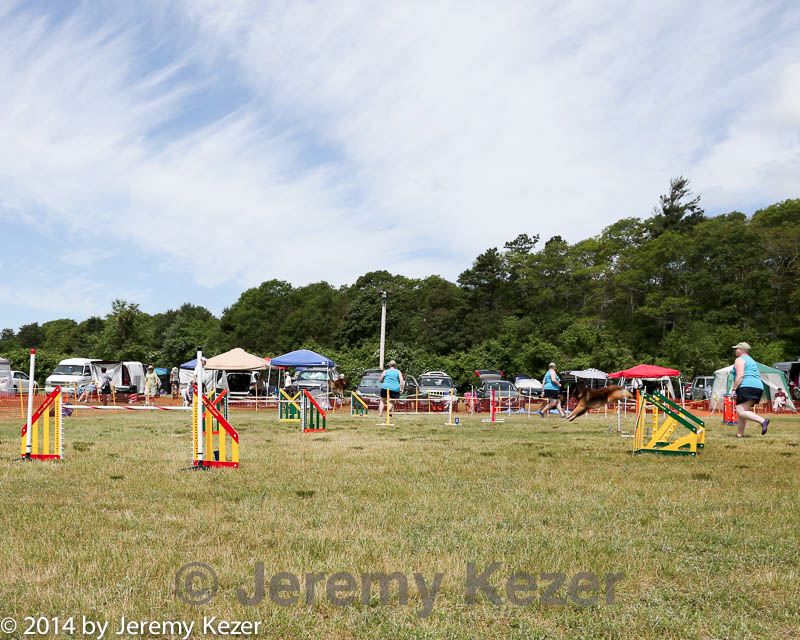 20140615-comp-0028.jpg