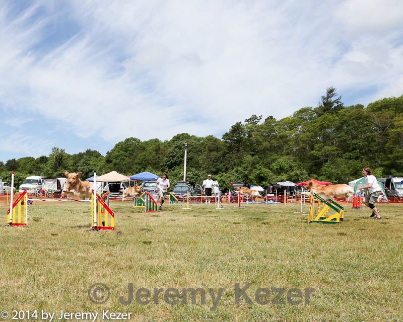 20140615-comp-0029.jpg