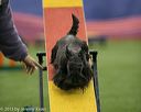 20150321-leap-1825