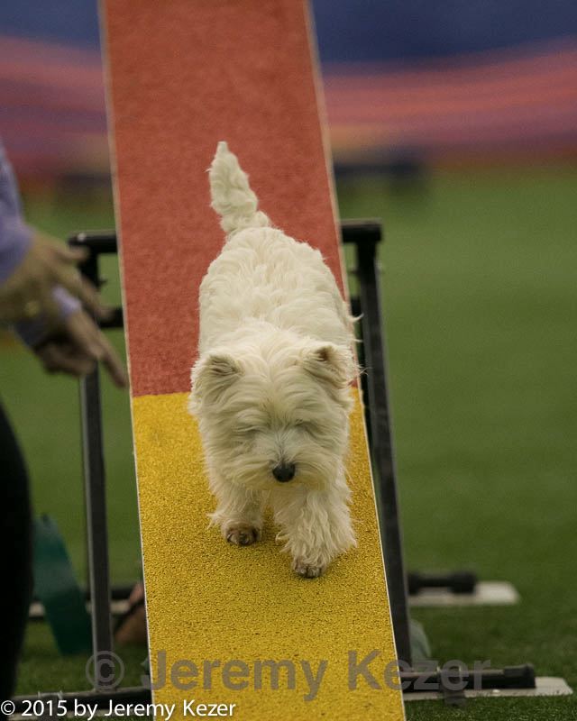 20150321-leap-1803.jpg