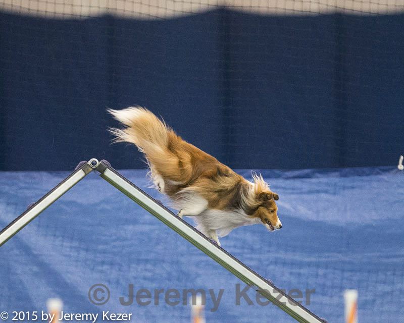 20150321-leap-1544.jpg