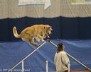 20150321-leap-0830