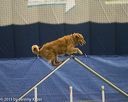 20150321-leap-0855