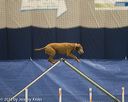 20150321-leap-0957