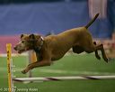 20150321-leap-0964