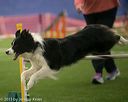 20150321-leap-0999