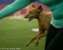 20150321-leap-1177