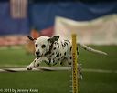 20150321-leap-1185