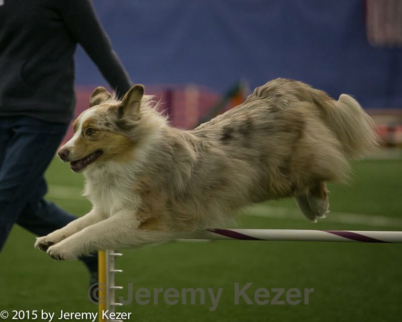 20150321-leap-0781.jpg