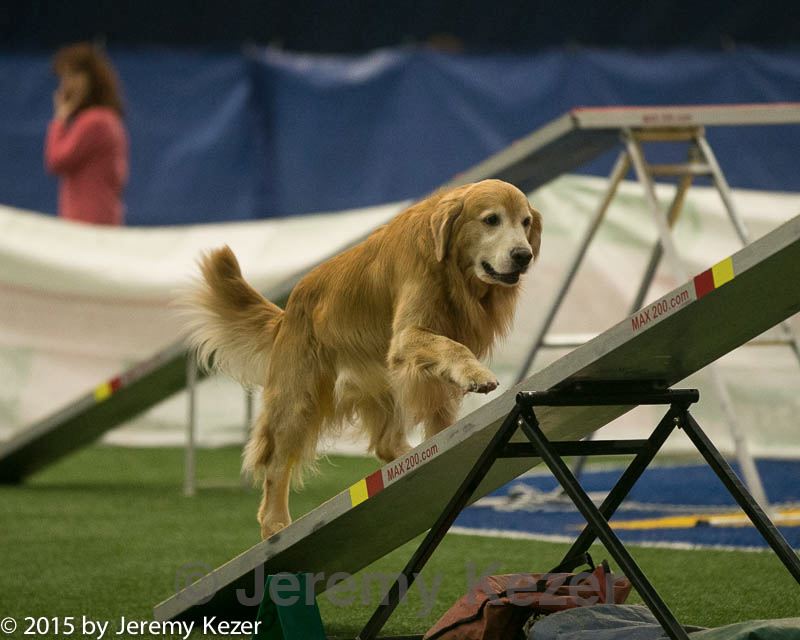 20150321-leap-0847.jpg