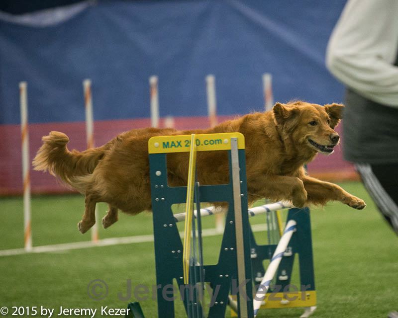 20150321-leap-0853.jpg