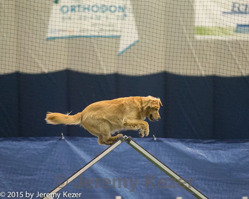20150321-leap-1070.jpg