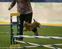 20150321-leap-0509