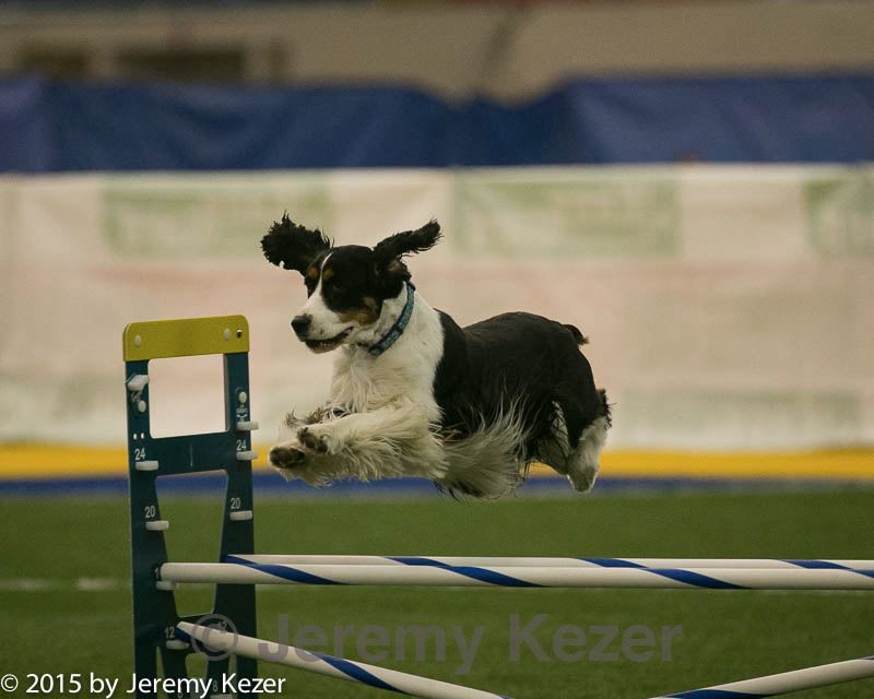 20150321-leap-0479.jpg