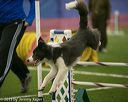 20150321-leap-0476
