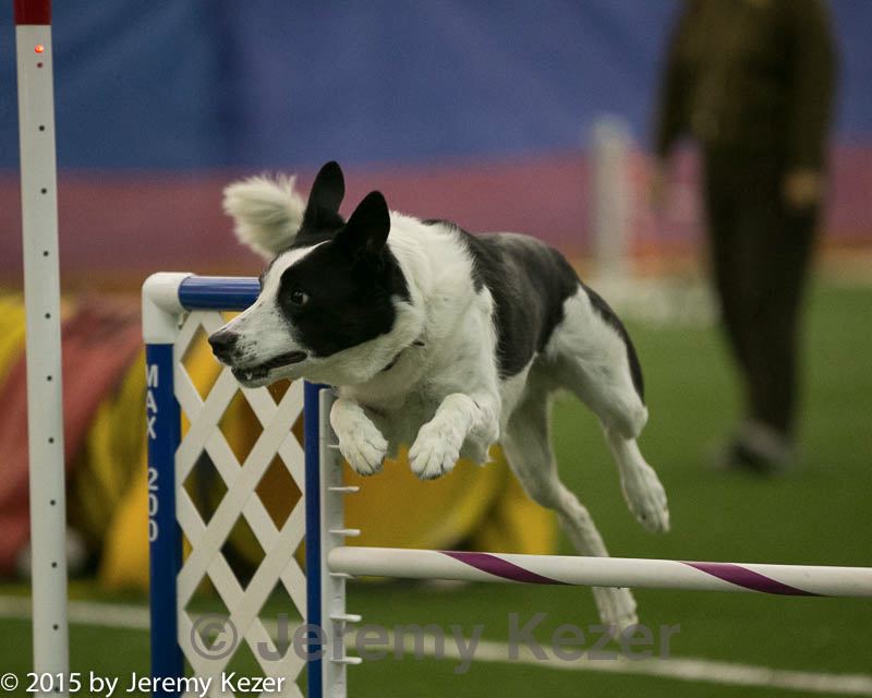 20150321-leap-0452.jpg