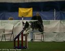 20150321-leap-0428