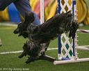 20150321-leap-0353