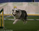 20150321-leap-0366
