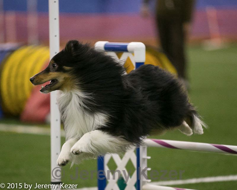 20150321-leap-0343.jpg