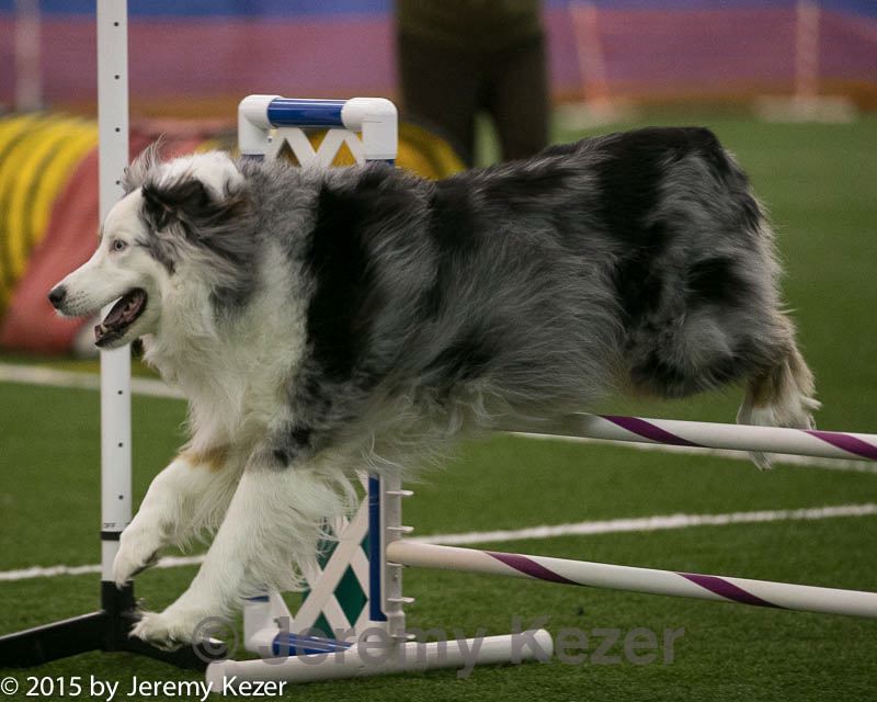 20150321-leap-0368.jpg