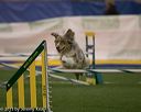 20150321-leap-0287