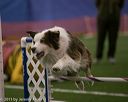 20150321-leap-0305