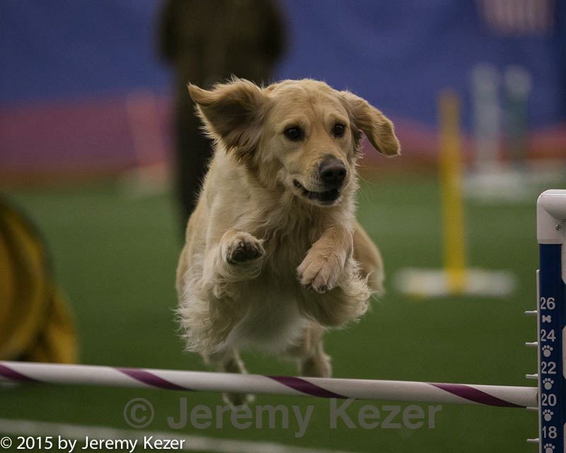 20150321-leap-0280.jpg