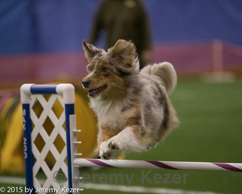 20150321-leap-0291.jpg