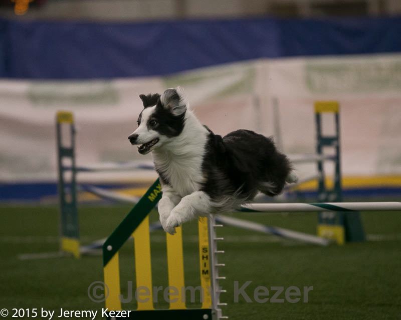 20150321-leap-0296.jpg