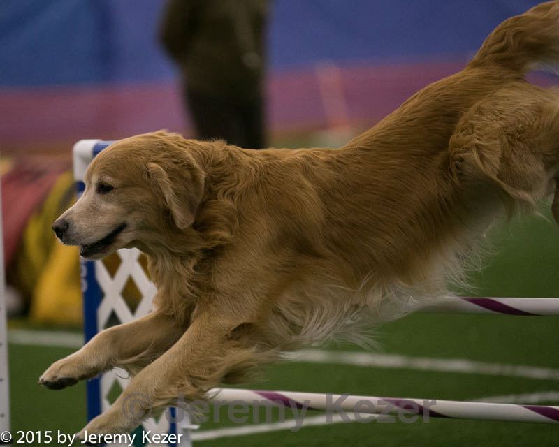 20150321-leap-0326.jpg