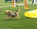 20150322-leap-0039