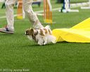 20150322-leap-0068