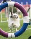 20150322-leap-0335