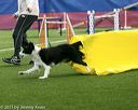 20150322-leap-0751